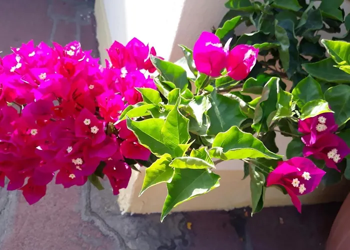 Casa Lupino * Orosei